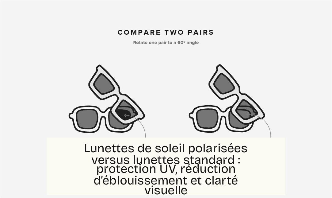 Lunettes de soleil polarisées versus lunettes standard : protection UV, réduction d’éblouissement et clarté visuelle