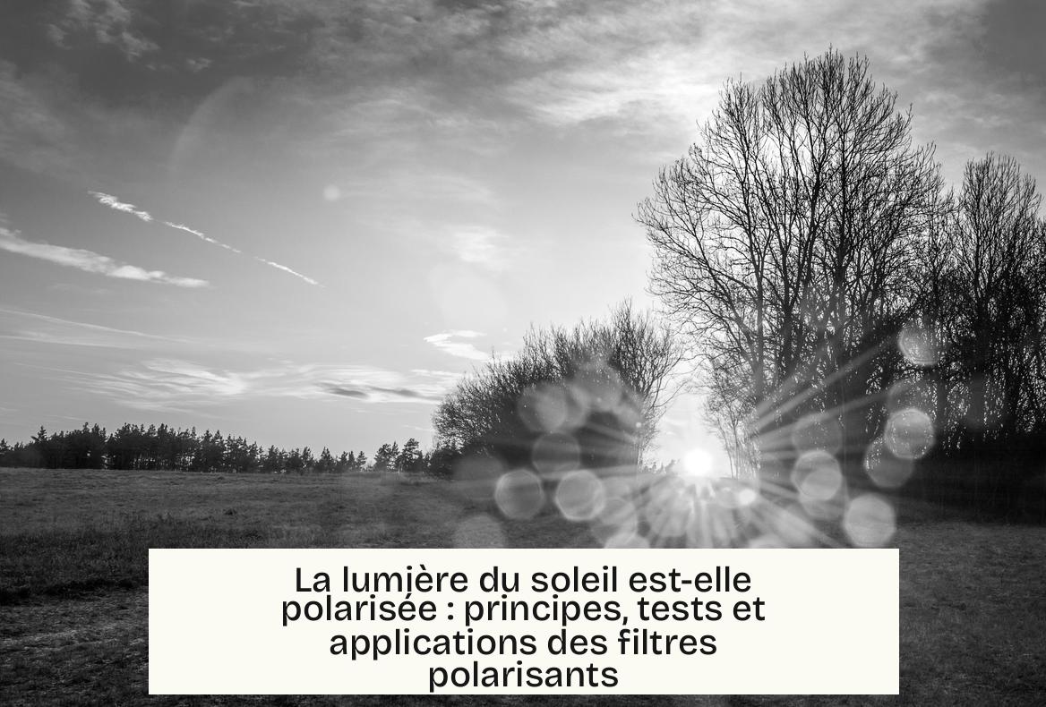 La lumière du soleil est-elle polarisée : principes, tests et applications des filtres polarisants