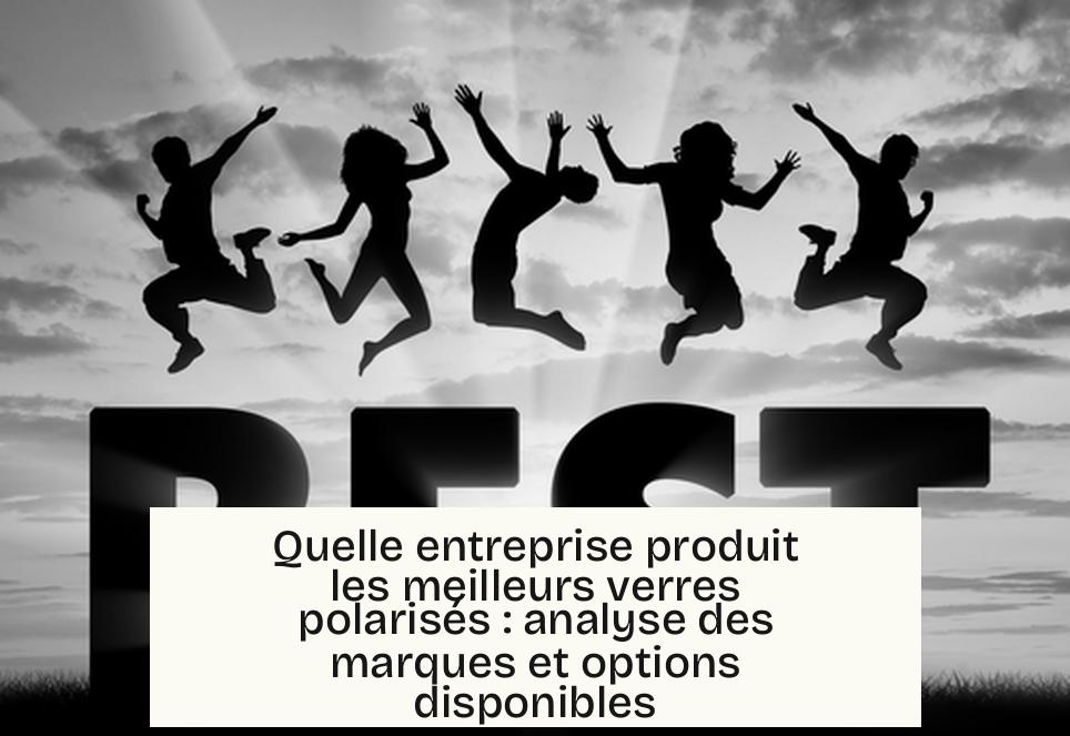 Quelle entreprise produit les meilleurs verres polarisés : analyse des marques et options disponibles