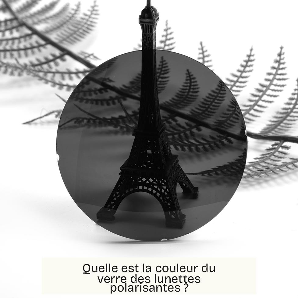 Quelle est la couleur du verre des lunettes polarisantes ?