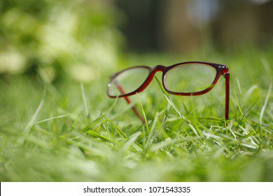 D.Franklin Lunettes : Témoignage d’Édith Gaillard sur une expérience d’achat mitigée